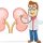 Is kidney transplantation performed in children?